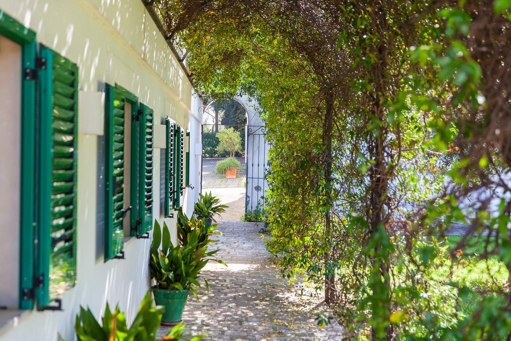 Villa Carenza Monopoli Exterior photo